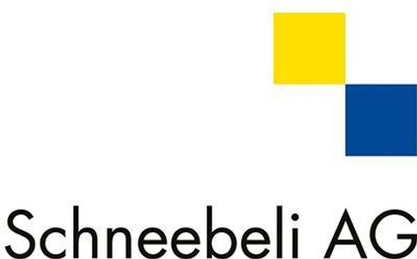 Logo Schneebeli AG Felsberg