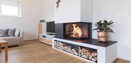 Kamin ECO VENUS