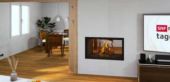 NIEUW: Haard Rüegg Violino Tunnel 55x98